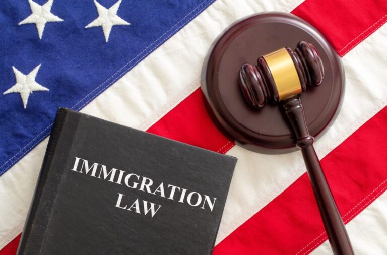 Immigration Law